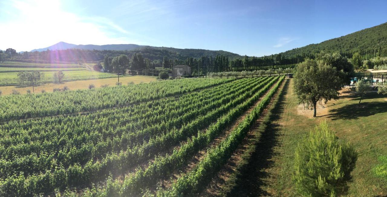 Les Gites Du Clos Saint Michel & Spa Malaucène Exterior foto